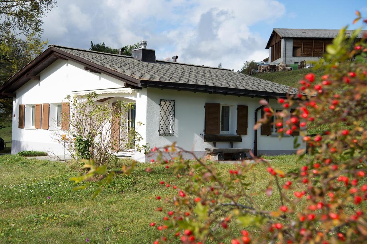 Ferienhaus Mit Garten Tgease Schilendra-Lantsch-Lenz-Lenzerheide Villa Ngoại thất bức ảnh